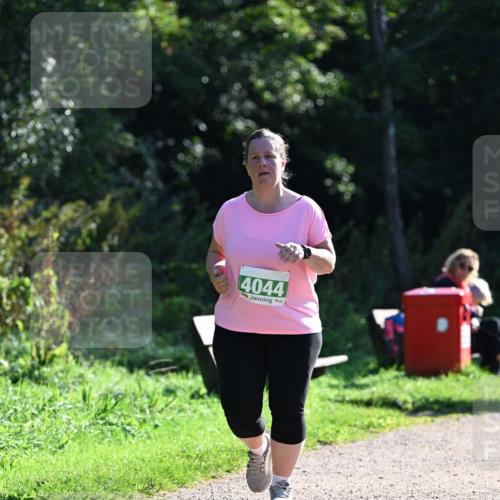 27.09.2026 - 35. Volkslauf durch das schöne Alstertal Dr. Thomas Lammeyer http://msf.ph/oto/10569340 27.09.2026 10:57:32 Laufen 4044 meine-sportfotos.de