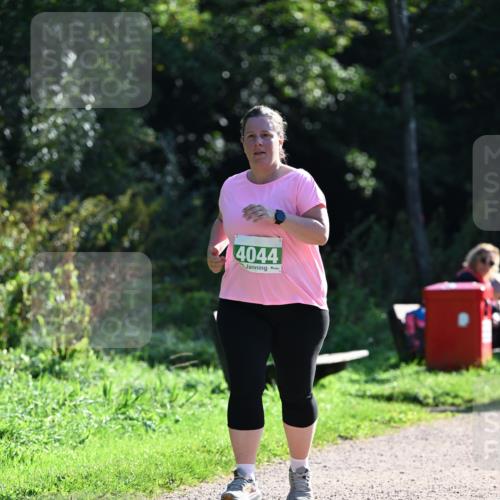 27.09.2026 - 35. Volkslauf durch das schöne Alstertal Dr. Thomas Lammeyer http://msf.ph/oto/10569341 27.09.2026 10:57:32 Laufen 4044 meine-sportfotos.de