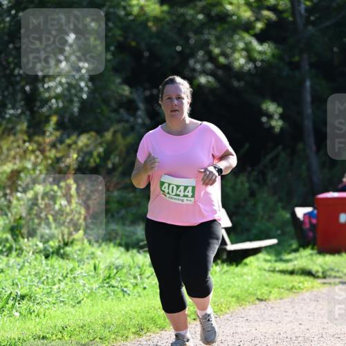 27.09.2026 - 35. Volkslauf durch das schöne Alstertal Dr. Thomas Lammeyer http://msf.ph/oto/10569343 27.09.2026 10:57:32 Laufen 4044 meine-sportfotos.de
