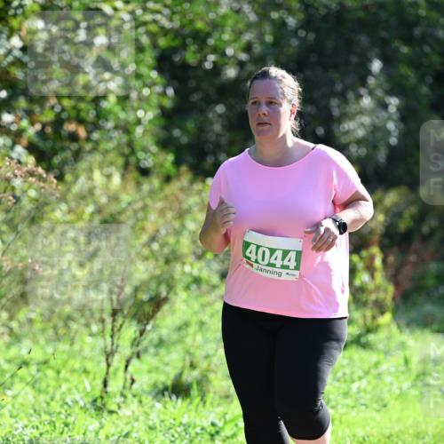 27.09.2026 - 35. Volkslauf durch das schöne Alstertal Dr. Thomas Lammeyer http://msf.ph/oto/10569354 27.09.2026 10:57:34 Laufen 4044 meine-sportfotos.de