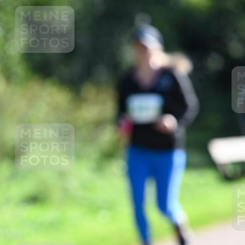 27.09.2026 - 35. Volkslauf durch das schöne Alstertal Dr. Thomas Lammeyer http://msf.ph/oto/10569358 27.09.2026 10:57:39 Laufen  meine-sportfotos.de