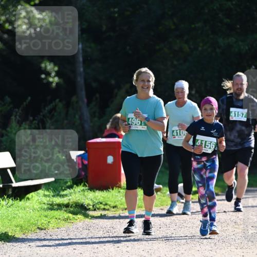 27.09.2026 - 35. Volkslauf durch das schöne Alstertal Dr. Thomas Lammeyer http://msf.ph/oto/10569373 27.09.2026 10:57:44 Laufen 496, 410, 4156, 4157 meine-sportfotos.de