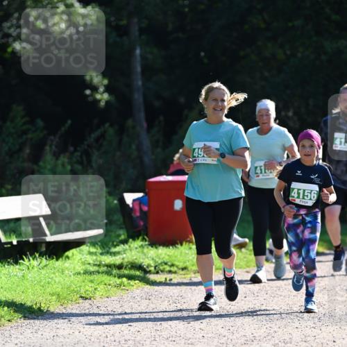 27.09.2026 - 35. Volkslauf durch das schöne Alstertal Dr. Thomas Lammeyer http://msf.ph/oto/10569374 27.09.2026 10:57:44 Laufen 49, 4100, 4156, 41 meine-sportfotos.de