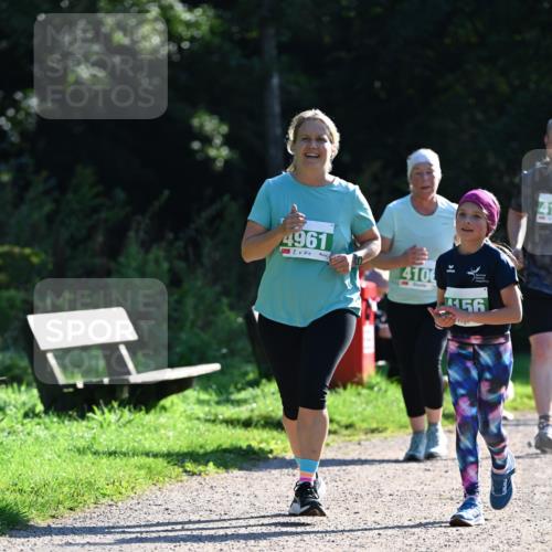 27.09.2026 - 35. Volkslauf durch das schöne Alstertal Dr. Thomas Lammeyer http://msf.ph/oto/10569381 27.09.2026 10:57:45 Laufen 4961, 410, 56, 41 meine-sportfotos.de
