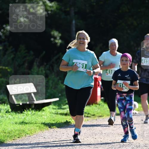 27.09.2026 - 35. Volkslauf durch das schöne Alstertal Dr. Thomas Lammeyer http://msf.ph/oto/10569382 27.09.2026 10:57:45 Laufen 961, 410, 115, 415 meine-sportfotos.de