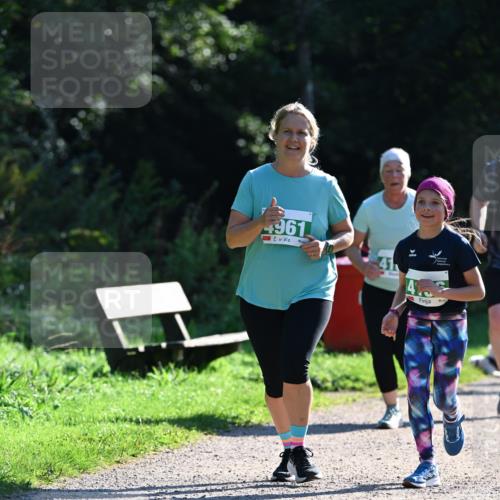 27.09.2026 - 35. Volkslauf durch das schöne Alstertal Dr. Thomas Lammeyer http://msf.ph/oto/10569386 27.09.2026 10:57:46 Laufen 4961, 41 meine-sportfotos.de
