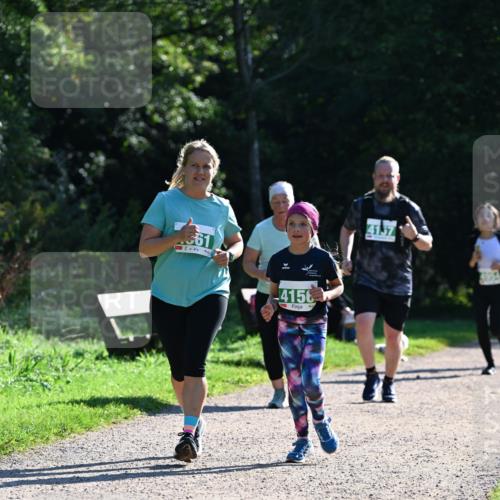 27.09.2026 - 35. Volkslauf durch das schöne Alstertal Dr. Thomas Lammeyer http://msf.ph/oto/10569388 27.09.2026 10:57:47 Laufen 361, 4156, 4137 meine-sportfotos.de