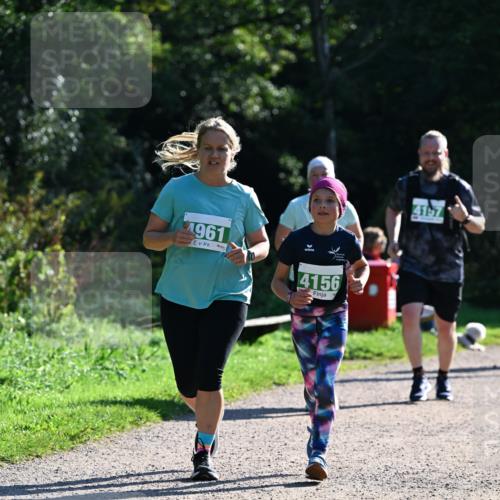 27.09.2026 - 35. Volkslauf durch das schöne Alstertal Dr. Thomas Lammeyer http://msf.ph/oto/10569393 27.09.2026 10:57:47 Laufen 1961, 4156, 4157 meine-sportfotos.de