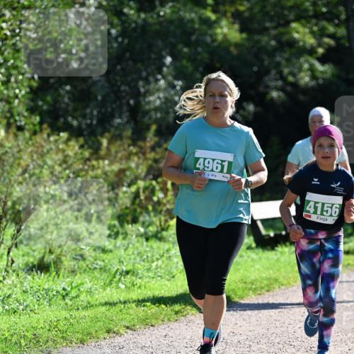 27.09.2026 - 35. Volkslauf durch das schöne Alstertal Dr. Thomas Lammeyer http://msf.ph/oto/10569397 27.09.2026 10:57:48 Laufen 4961, 4156 meine-sportfotos.de