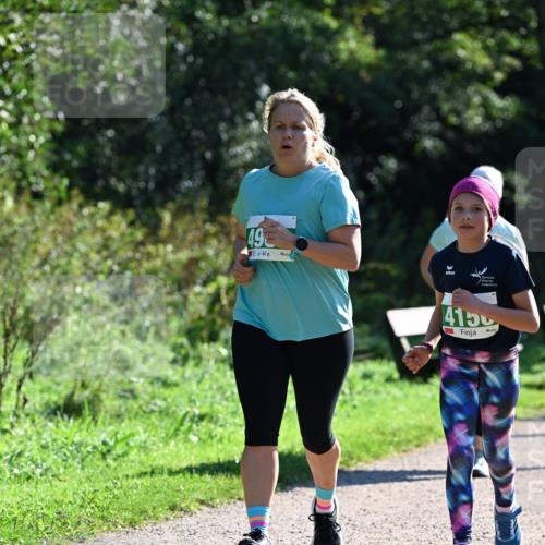 27.09.2026 - 35. Volkslauf durch das schöne Alstertal Dr. Thomas Lammeyer http://msf.ph/oto/10569399 27.09.2026 10:57:48 Laufen 49, 415 meine-sportfotos.de
