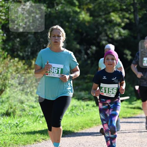 27.09.2026 - 35. Volkslauf durch das schöne Alstertal Dr. Thomas Lammeyer http://msf.ph/oto/10569401 27.09.2026 10:57:49 Laufen 961, 4156 meine-sportfotos.de