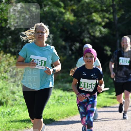 27.09.2026 - 35. Volkslauf durch das schöne Alstertal Dr. Thomas Lammeyer http://msf.ph/oto/10569402 27.09.2026 10:57:49 Laufen 4961, 4156, 4157 meine-sportfotos.de