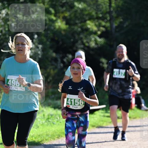 27.09.2026 - 35. Volkslauf durch das schöne Alstertal Dr. Thomas Lammeyer http://msf.ph/oto/10569403 27.09.2026 10:57:49 Laufen 496, 4156, 2137 meine-sportfotos.de