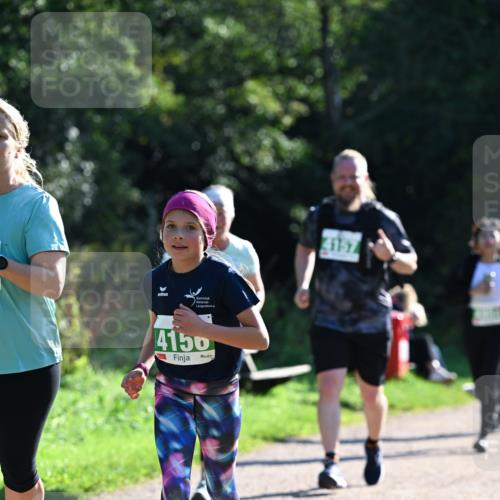27.09.2026 - 35. Volkslauf durch das schöne Alstertal Dr. Thomas Lammeyer http://msf.ph/oto/10569404 27.09.2026 10:57:49 Laufen 4150, 4157 meine-sportfotos.de