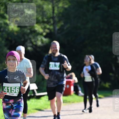 27.09.2026 - 35. Volkslauf durch das schöne Alstertal Dr. Thomas Lammeyer http://msf.ph/oto/10569406 27.09.2026 10:57:49 Laufen 4156 meine-sportfotos.de