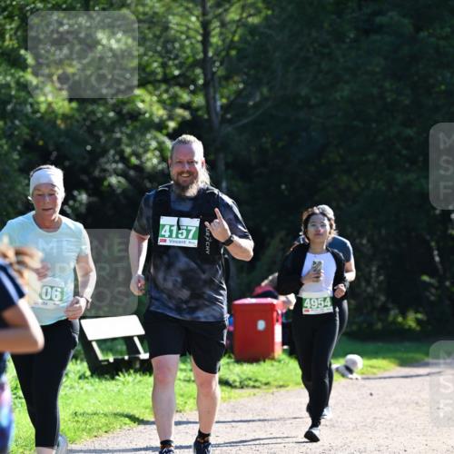 27.09.2026 - 35. Volkslauf durch das schöne Alstertal Dr. Thomas Lammeyer http://msf.ph/oto/10569407 27.09.2026 10:57:50 Laufen 06, 4157, 4954 meine-sportfotos.de