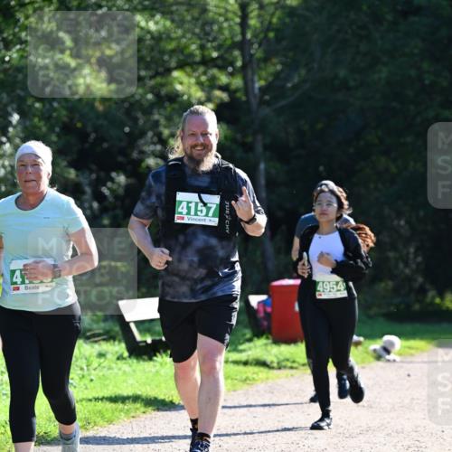 27.09.2026 - 35. Volkslauf durch das schöne Alstertal Dr. Thomas Lammeyer http://msf.ph/oto/10569410 27.09.2026 10:57:50 Laufen 4, 4157, 4954 meine-sportfotos.de