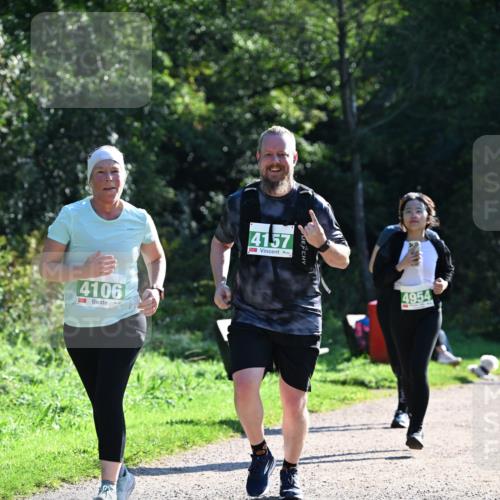 27.09.2026 - 35. Volkslauf durch das schöne Alstertal Dr. Thomas Lammeyer http://msf.ph/oto/10569412 27.09.2026 10:57:50 Laufen 4106, 4157, 4954 meine-sportfotos.de