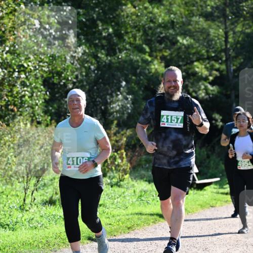 27.09.2026 - 35. Volkslauf durch das schöne Alstertal Dr. Thomas Lammeyer http://msf.ph/oto/10569416 27.09.2026 10:57:51 Laufen 410, 4157, 4954 meine-sportfotos.de