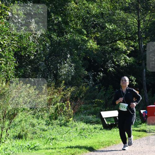 27.09.2026 - 35. Volkslauf durch das schöne Alstertal Dr. Thomas Lammeyer http://msf.ph/oto/10569453 27.09.2026 10:57:57 Laufen 4222 meine-sportfotos.de