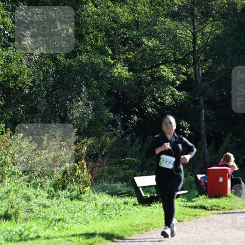 27.09.2026 - 35. Volkslauf durch das schöne Alstertal Dr. Thomas Lammeyer http://msf.ph/oto/10569454 27.09.2026 10:57:58 Laufen 4222 meine-sportfotos.de