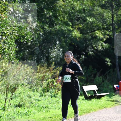 27.09.2026 - 35. Volkslauf durch das schöne Alstertal Dr. Thomas Lammeyer http://msf.ph/oto/10569458 27.09.2026 10:57:59 Laufen 4222 meine-sportfotos.de
