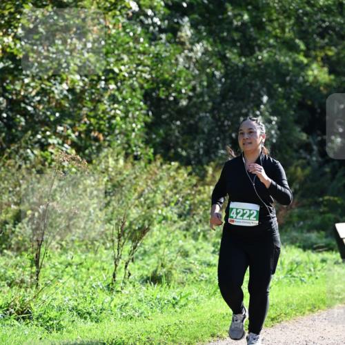 27.09.2026 - 35. Volkslauf durch das schöne Alstertal Dr. Thomas Lammeyer http://msf.ph/oto/10569462 27.09.2026 10:57:59 Laufen 4222 meine-sportfotos.de
