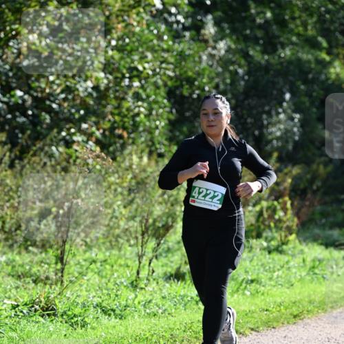 27.09.2026 - 35. Volkslauf durch das schöne Alstertal Dr. Thomas Lammeyer http://msf.ph/oto/10569466 27.09.2026 10:58:00 Laufen 4222 meine-sportfotos.de