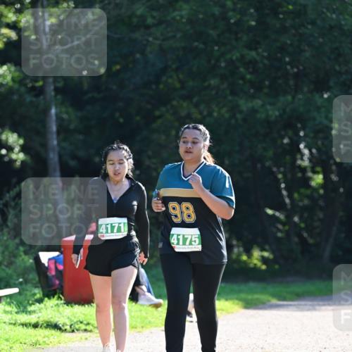 27.09.2026 - 35. Volkslauf durch das schöne Alstertal Dr. Thomas Lammeyer http://msf.ph/oto/10569475 27.09.2026 10:58:03 Laufen 4171, 98, 4175 meine-sportfotos.de
