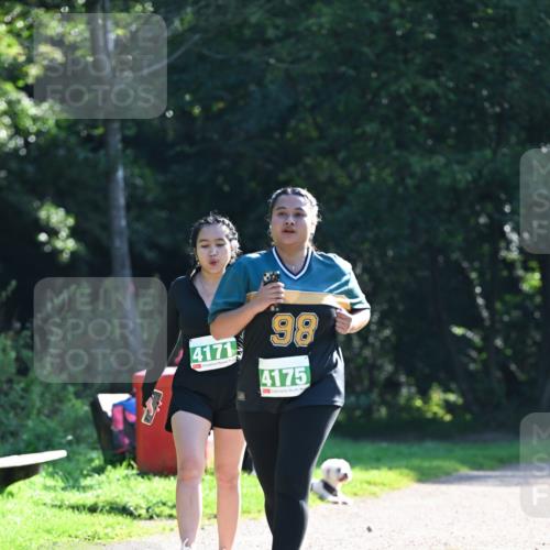 27.09.2026 - 35. Volkslauf durch das schöne Alstertal Dr. Thomas Lammeyer http://msf.ph/oto/10569478 27.09.2026 10:58:03 Laufen 4171, 98, 4175 meine-sportfotos.de