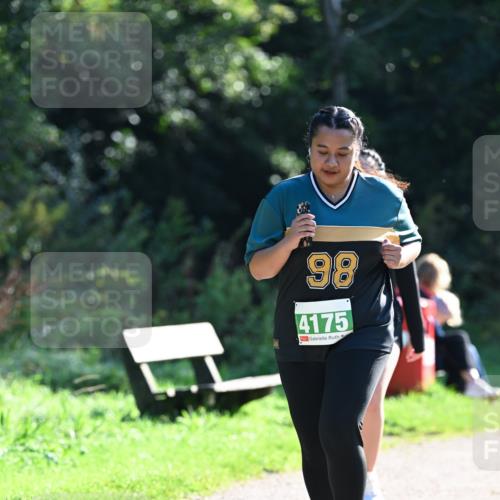 27.09.2026 - 35. Volkslauf durch das schöne Alstertal Dr. Thomas Lammeyer http://msf.ph/oto/10569484 27.09.2026 10:58:05 Laufen 98, 4175 meine-sportfotos.de