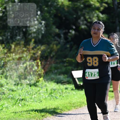 27.09.2026 - 35. Volkslauf durch das schöne Alstertal Dr. Thomas Lammeyer http://msf.ph/oto/10569489 27.09.2026 10:58:05 Laufen 98, 4175, 171 meine-sportfotos.de