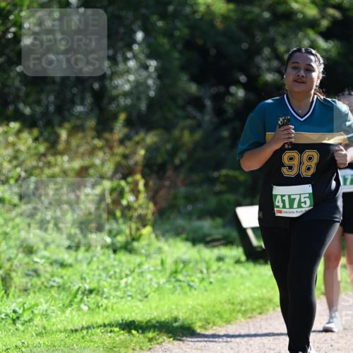 27.09.2026 - 35. Volkslauf durch das schöne Alstertal Dr. Thomas Lammeyer http://msf.ph/oto/10569490 27.09.2026 10:58:05 Laufen 98, 4175 meine-sportfotos.de