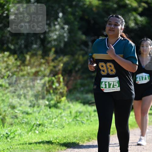 27.09.2026 - 35. Volkslauf durch das schöne Alstertal Dr. Thomas Lammeyer http://msf.ph/oto/10569493 27.09.2026 10:58:06 Laufen 98, 4175, 4171 meine-sportfotos.de