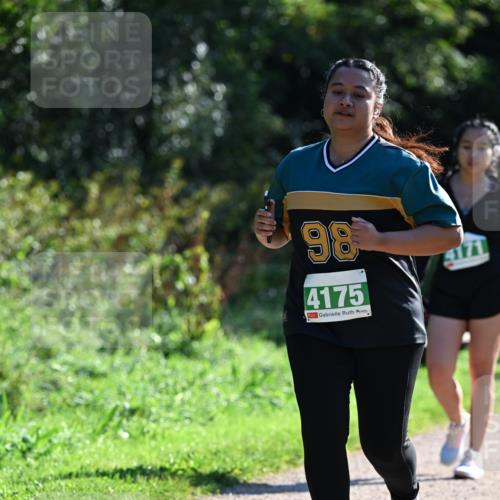 27.09.2026 - 35. Volkslauf durch das schöne Alstertal Dr. Thomas Lammeyer http://msf.ph/oto/10569494 27.09.2026 10:58:06 Laufen 98, 4175, 4171 meine-sportfotos.de