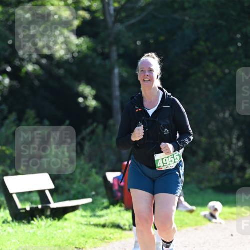 27.09.2026 - 35. Volkslauf durch das schöne Alstertal Dr. Thomas Lammeyer http://msf.ph/oto/10569518 27.09.2026 10:58:19 Laufen 4955 meine-sportfotos.de