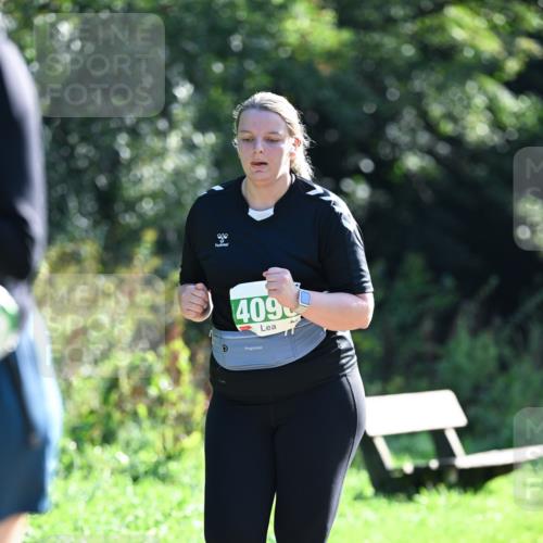 27.09.2026 - 35. Volkslauf durch das schöne Alstertal Dr. Thomas Lammeyer http://msf.ph/oto/10569539 27.09.2026 10:58:23 Laufen 409 meine-sportfotos.de