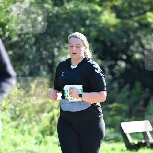27.09.2026 - 35. Volkslauf durch das schöne Alstertal Dr. Thomas Lammeyer http://msf.ph/oto/10569541 27.09.2026 10:58:23 Laufen  meine-sportfotos.de