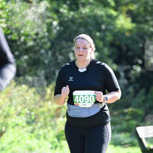 27.09.2026 - 35. Volkslauf durch das schöne Alstertal Dr. Thomas Lammeyer http://msf.ph/oto/10569542 27.09.2026 10:58:23 Laufen 4090 meine-sportfotos.de