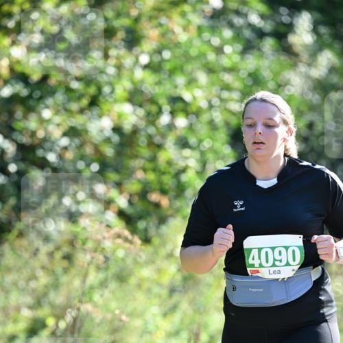 27.09.2026 - 35. Volkslauf durch das schöne Alstertal Dr. Thomas Lammeyer http://msf.ph/oto/10569548 27.09.2026 10:58:24 Laufen 4090 meine-sportfotos.de