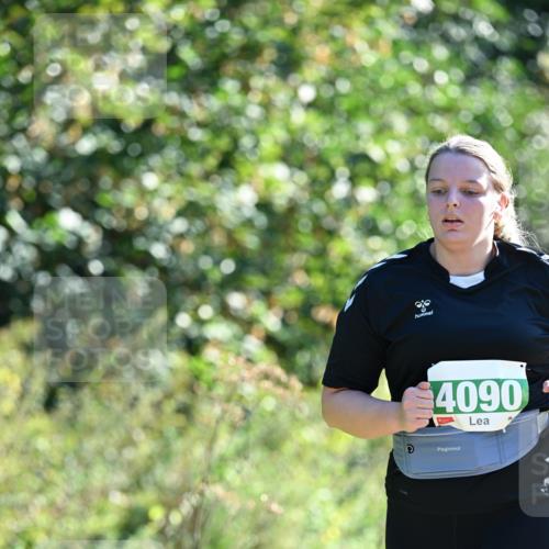 27.09.2026 - 35. Volkslauf durch das schöne Alstertal Dr. Thomas Lammeyer http://msf.ph/oto/10569549 27.09.2026 10:58:24 Laufen 4090 meine-sportfotos.de