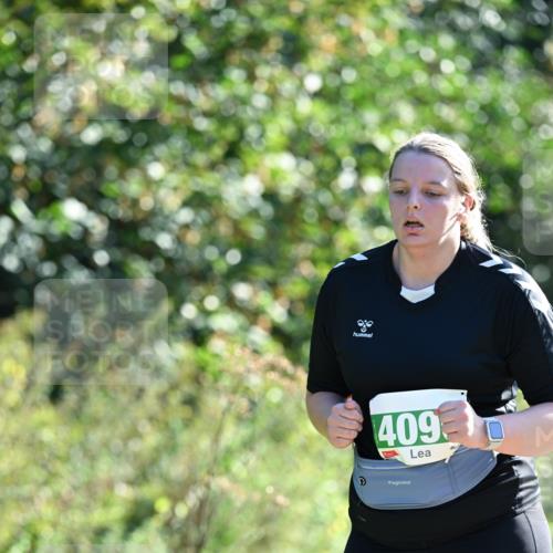 27.09.2026 - 35. Volkslauf durch das schöne Alstertal Dr. Thomas Lammeyer http://msf.ph/oto/10569550 27.09.2026 10:58:24 Laufen 1080, 409 meine-sportfotos.de