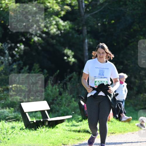 27.09.2026 - 35. Volkslauf durch das schöne Alstertal Dr. Thomas Lammeyer http://msf.ph/oto/10569551 27.09.2026 10:58:27 Laufen 2025, 4096 meine-sportfotos.de