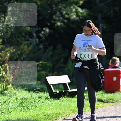 27.09.2026 - 35. Volkslauf durch das schöne Alstertal Dr. Thomas Lammeyer http://msf.ph/oto/10569558 27.09.2026 10:58:28 Laufen 2025, 4086 meine-sportfotos.de