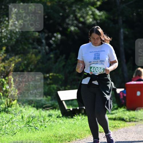 27.09.2026 - 35. Volkslauf durch das schöne Alstertal Dr. Thomas Lammeyer http://msf.ph/oto/10569560 27.09.2026 10:58:28 Laufen 2025, 4086 meine-sportfotos.de