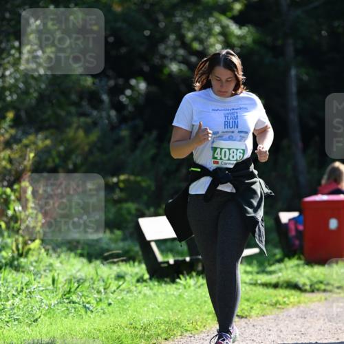 27.09.2026 - 35. Volkslauf durch das schöne Alstertal Dr. Thomas Lammeyer http://msf.ph/oto/10569561 27.09.2026 10:58:28 Laufen 2025, 4086 meine-sportfotos.de