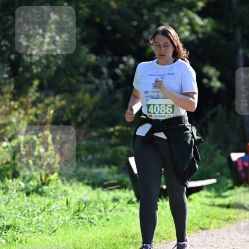 27.09.2026 - 35. Volkslauf durch das schöne Alstertal Dr. Thomas Lammeyer http://msf.ph/oto/10569564 27.09.2026 10:58:29 Laufen 2025, 4086 meine-sportfotos.de