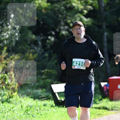 27.09.2026 - 35. Volkslauf durch das schöne Alstertal Dr. Thomas Lammeyer http://msf.ph/oto/10569591 27.09.2026 10:58:42 Laufen 4210 meine-sportfotos.de