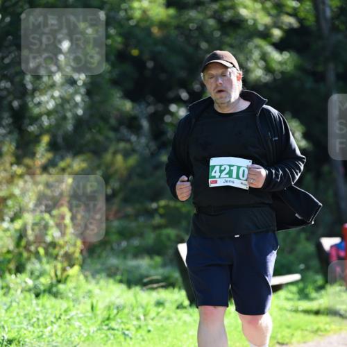 27.09.2026 - 35. Volkslauf durch das schöne Alstertal Dr. Thomas Lammeyer http://msf.ph/oto/10569593 27.09.2026 10:58:42 Laufen 4210 meine-sportfotos.de