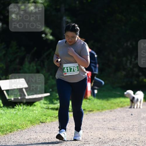 27.09.2026 - 35. Volkslauf durch das schöne Alstertal Dr. Thomas Lammeyer http://msf.ph/oto/10569631 27.09.2026 10:59:08 Laufen 4176 meine-sportfotos.de